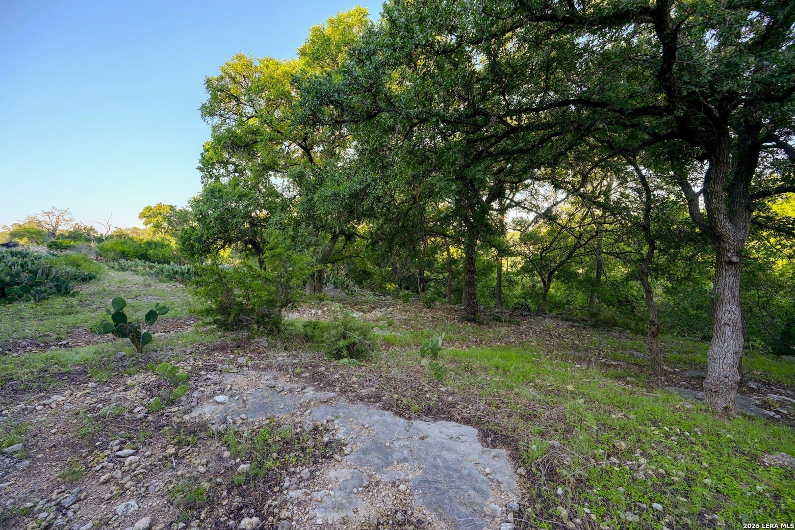 1.1 acres in Comal County - photo 37