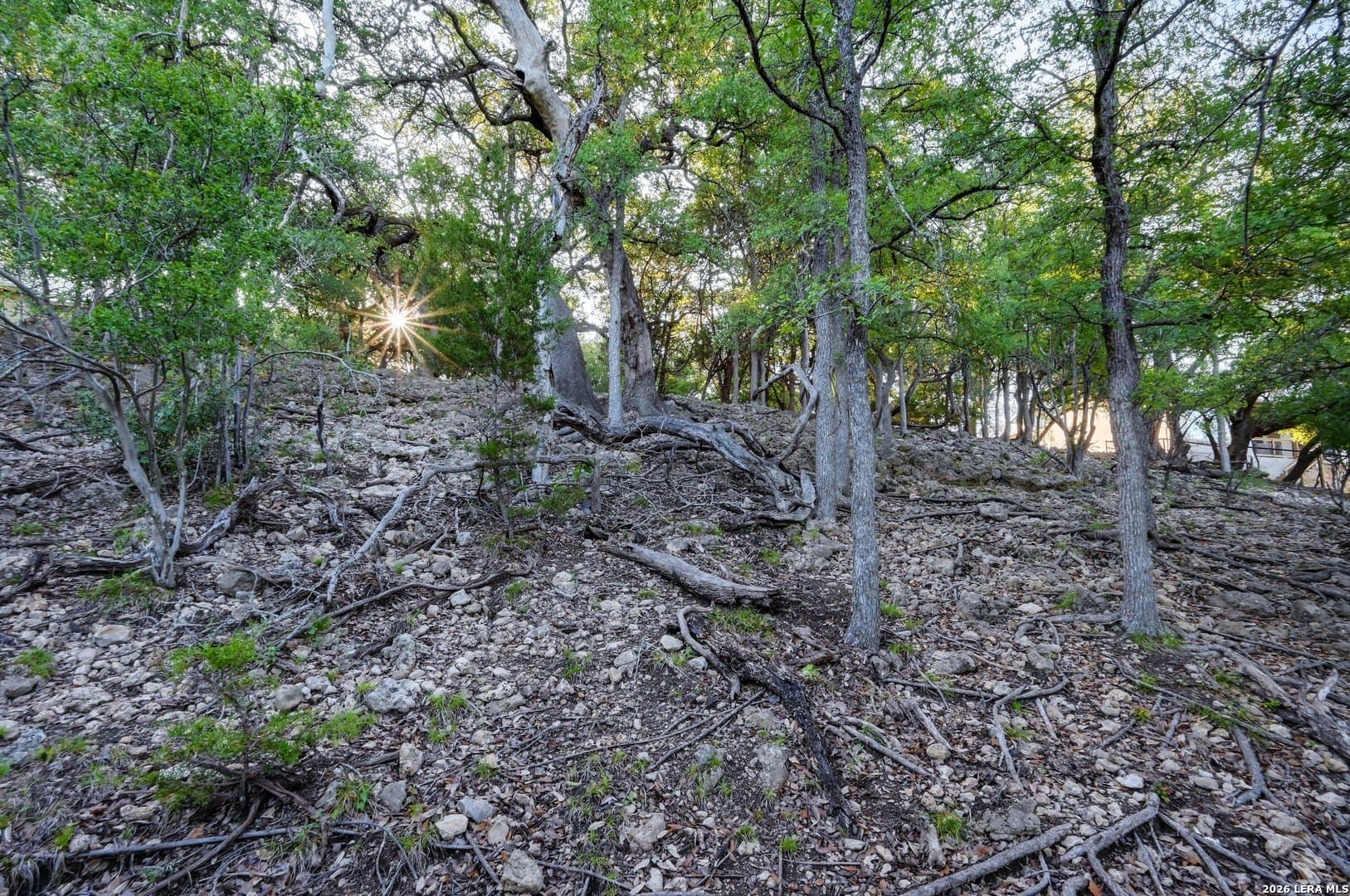 1.1 acres in Comal County - photo 49