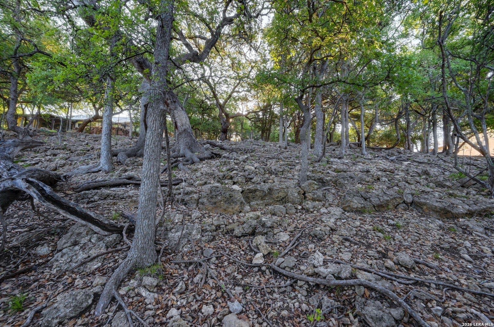 1.1 acres in Comal County - photo 50
