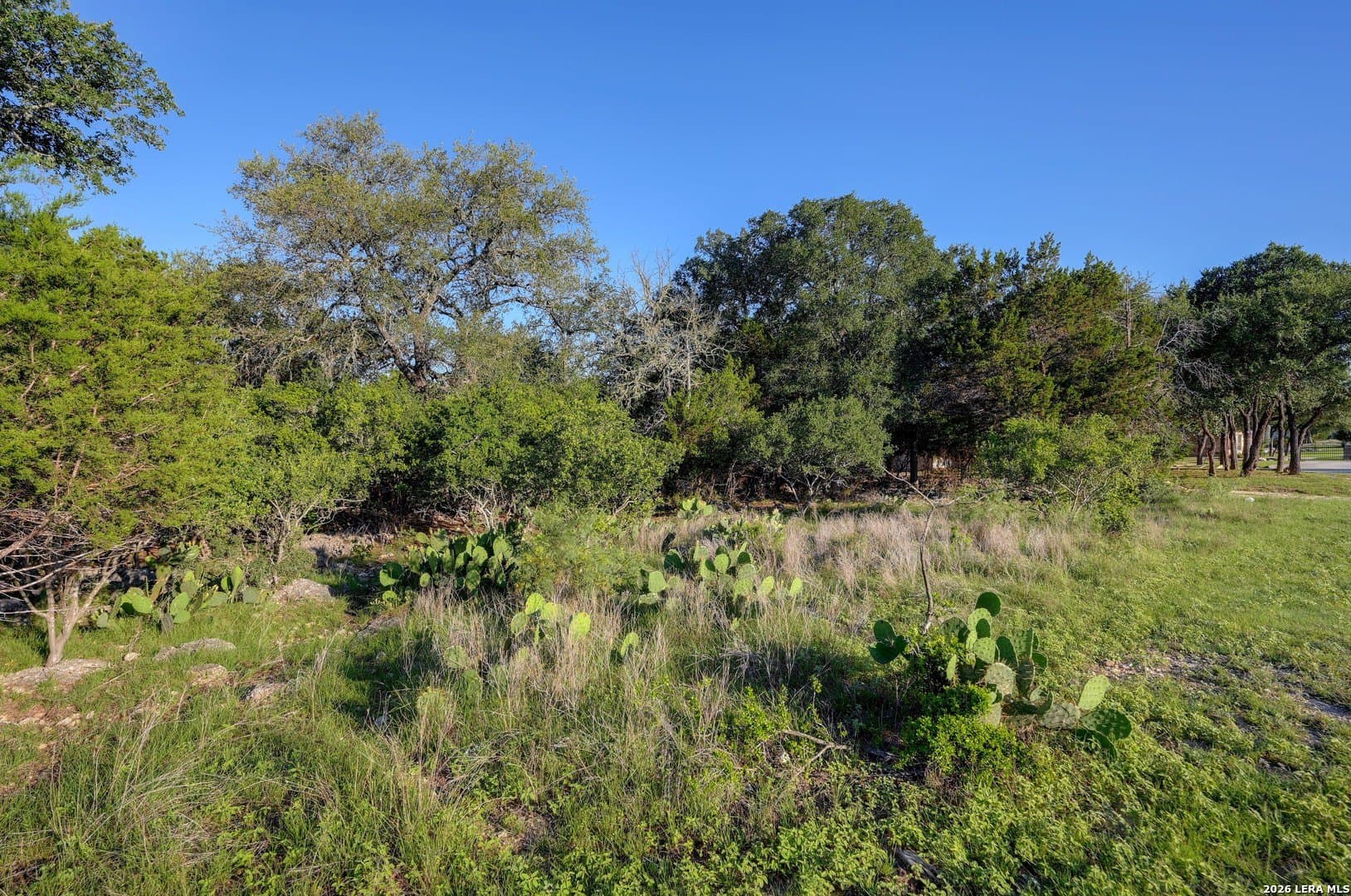 1.1 acres in Comal County - photo 28