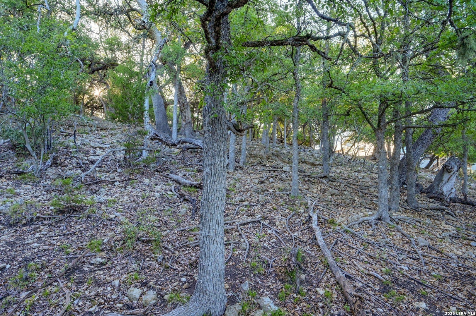 1.1 acres in Comal County - photo 45