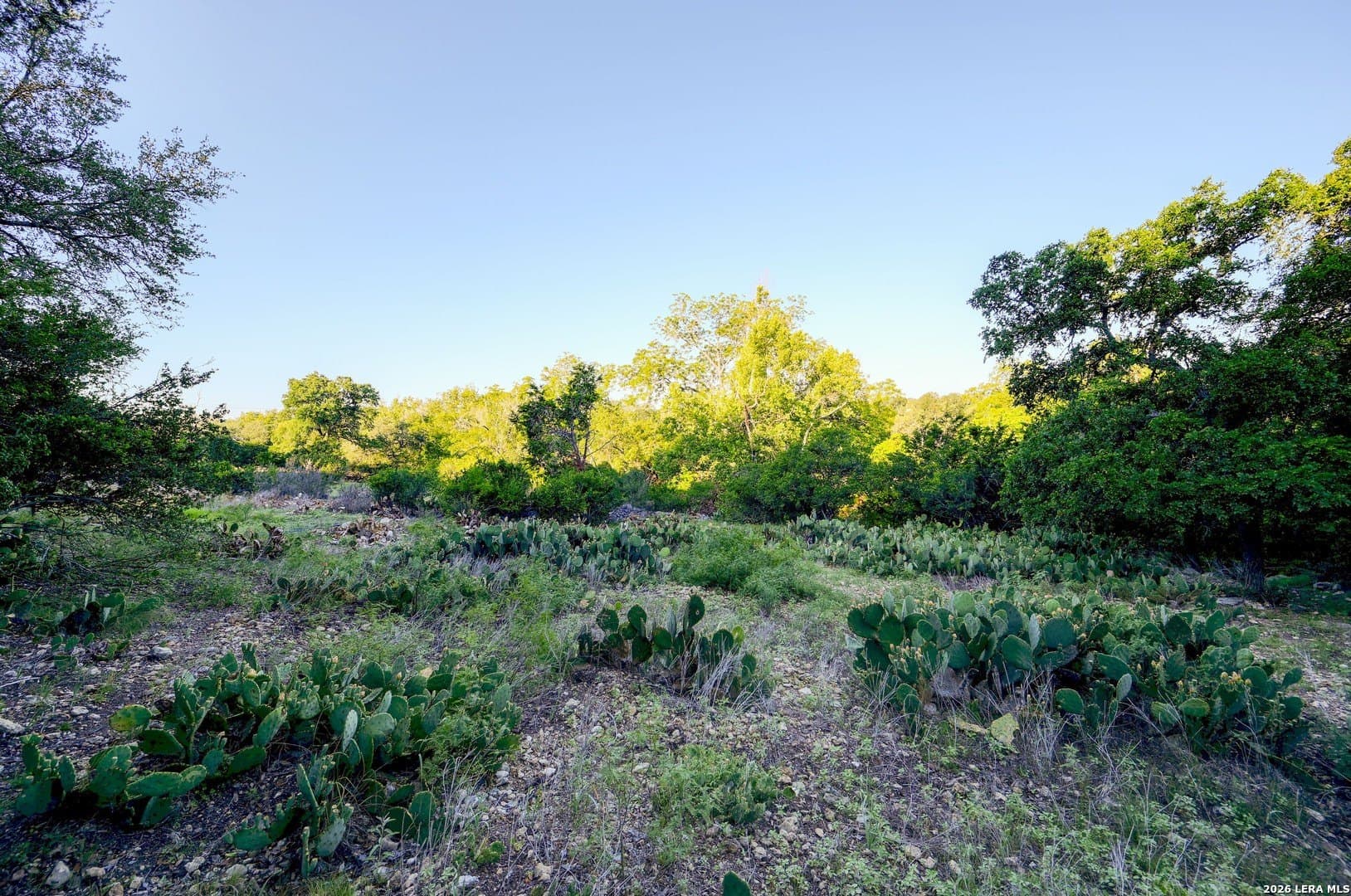 1.1 acres in Comal County - photo 32