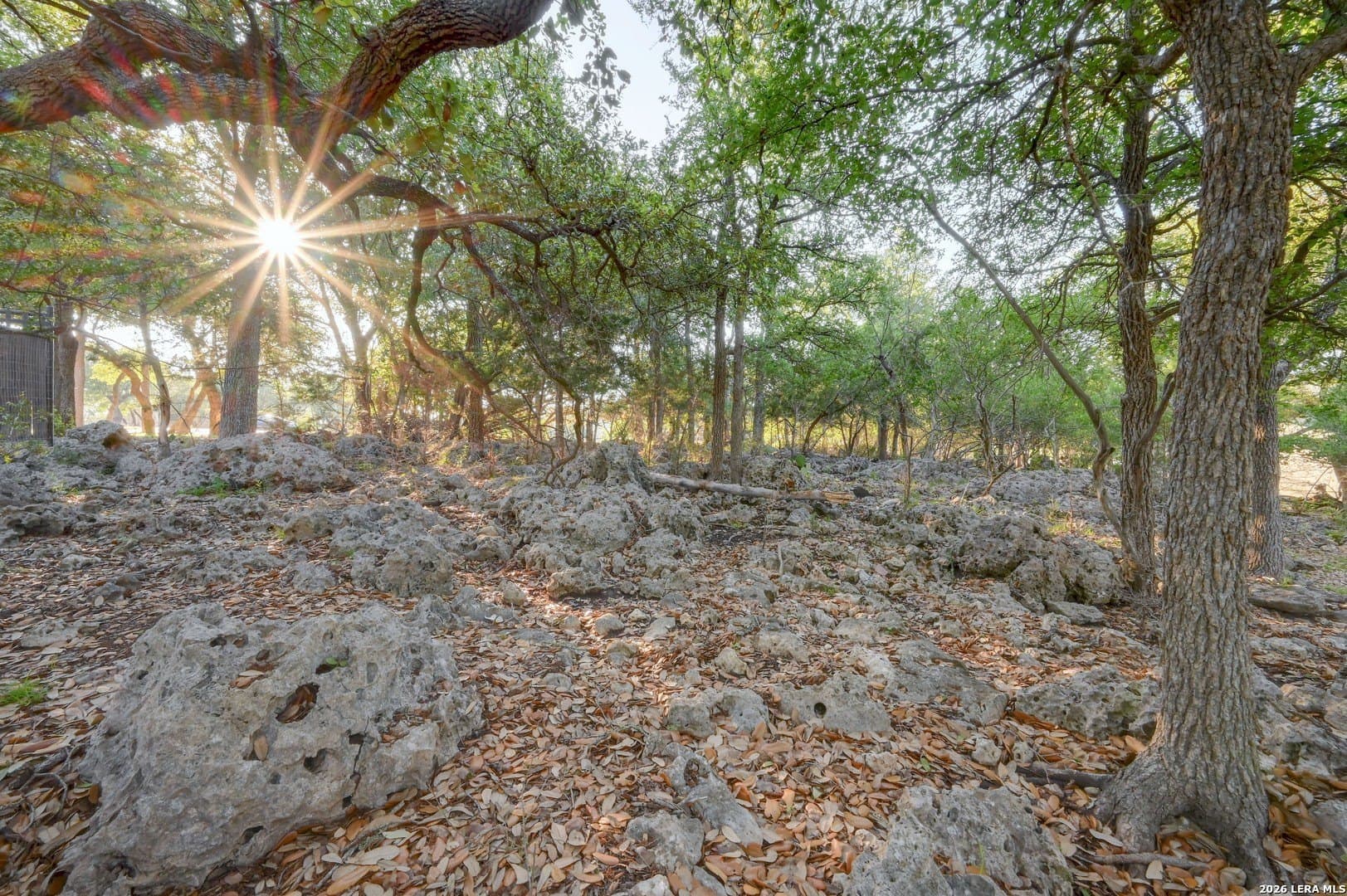 1.1 acres in Comal County - photo 48