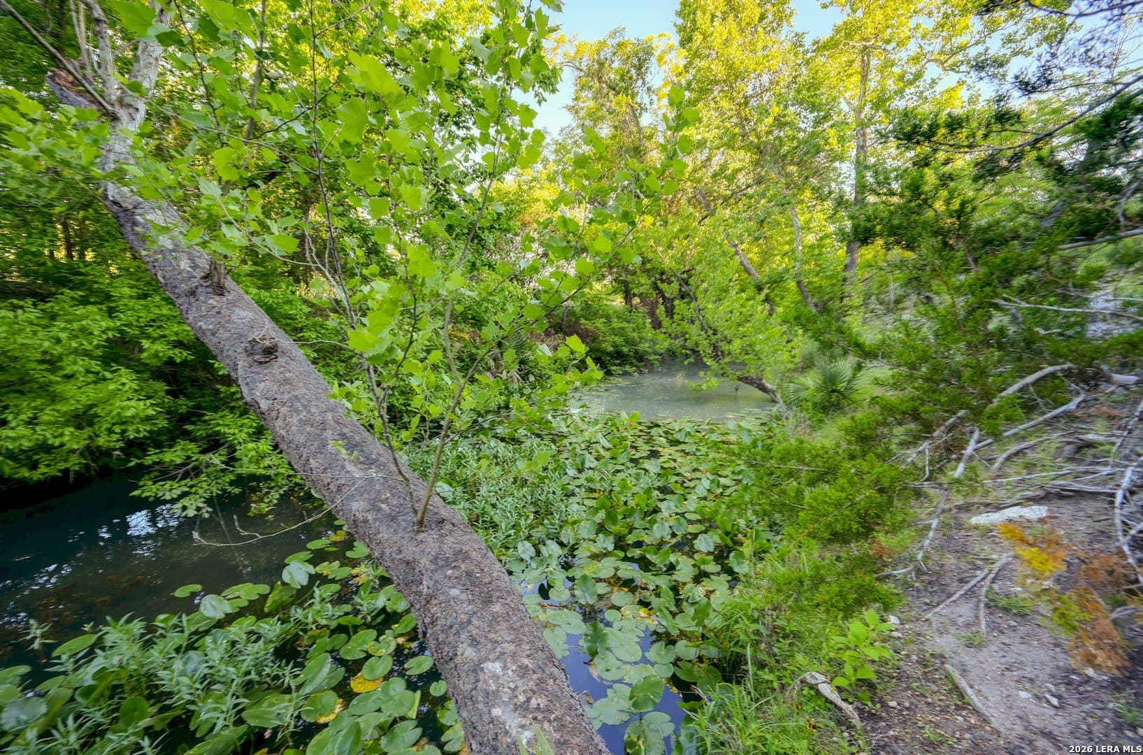 1.1 acres in Comal County - photo 41