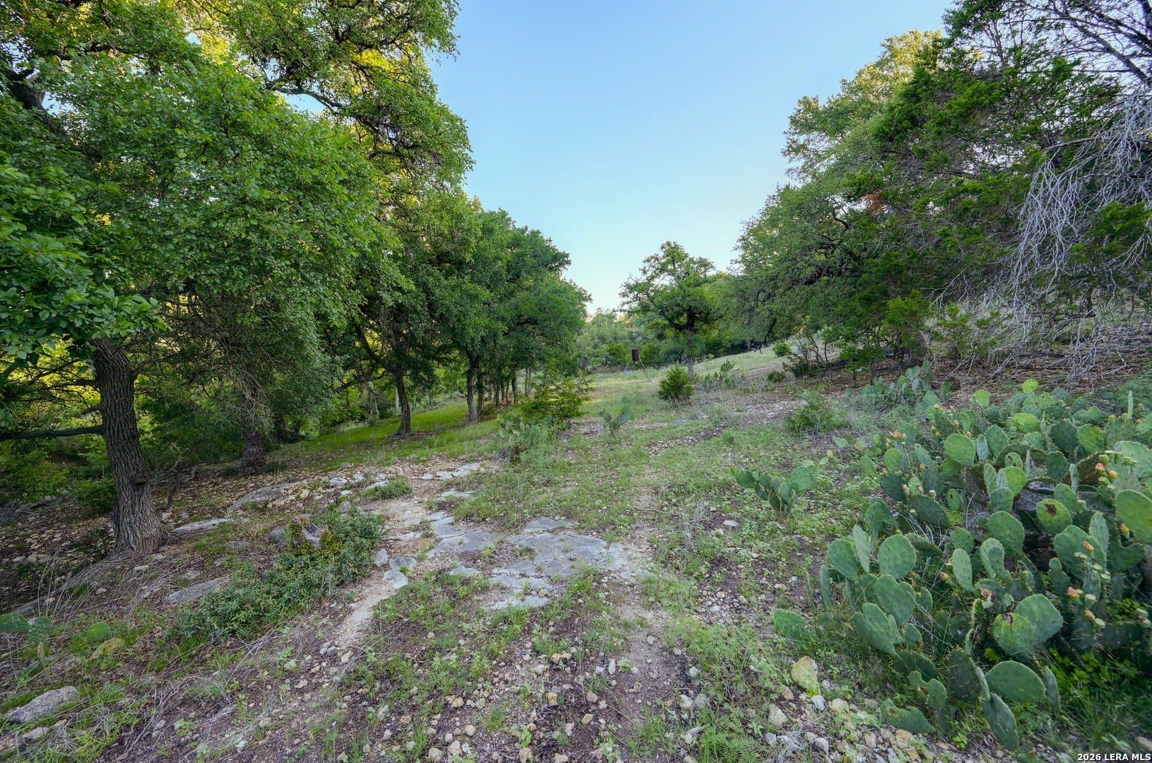 1.1 acres in Comal County - photo 34
