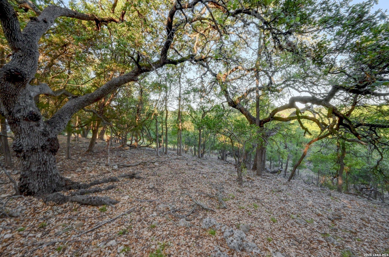1.1 acres in Comal County - photo 51