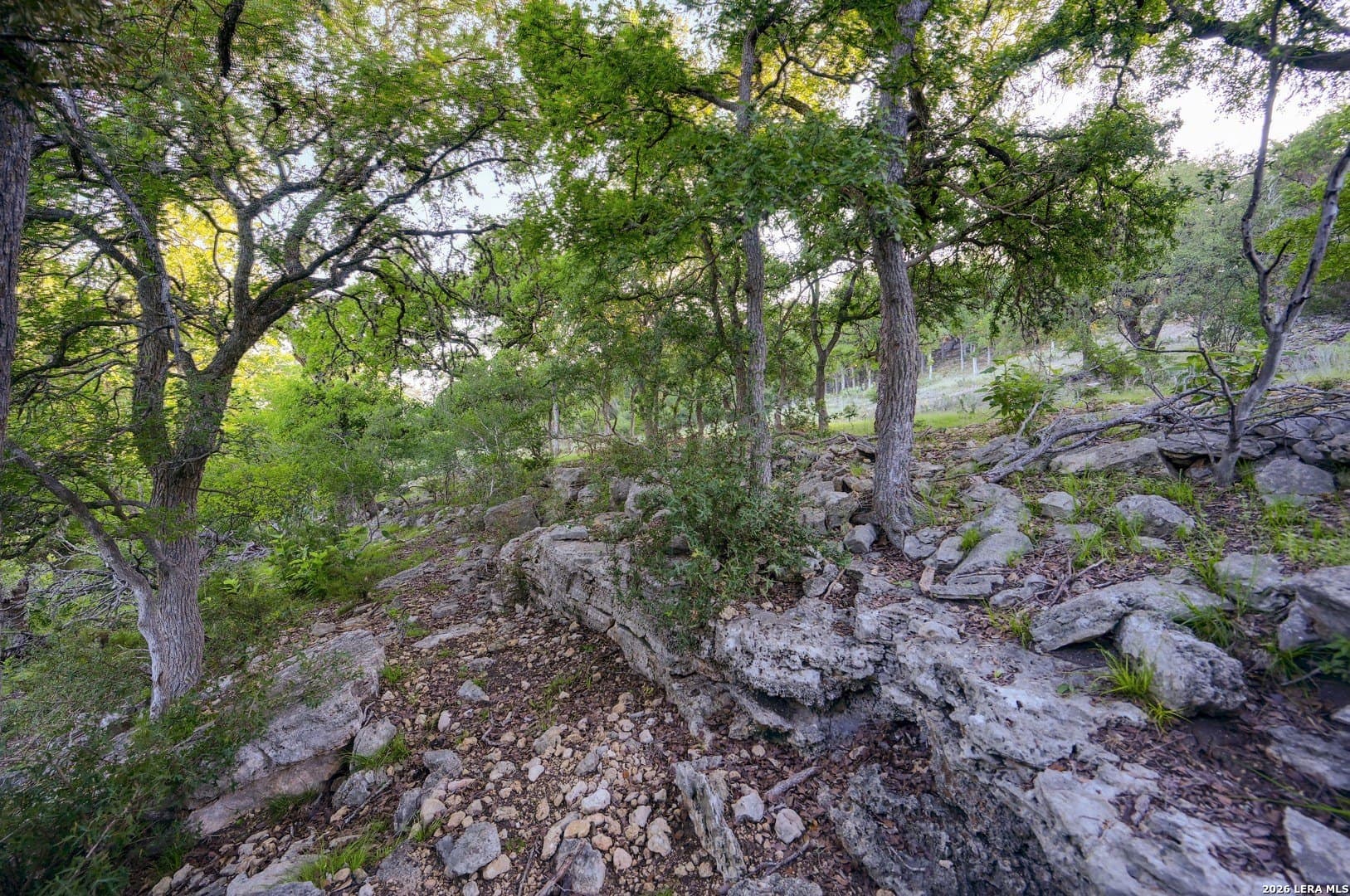 1.1 acres in Comal County - photo 35