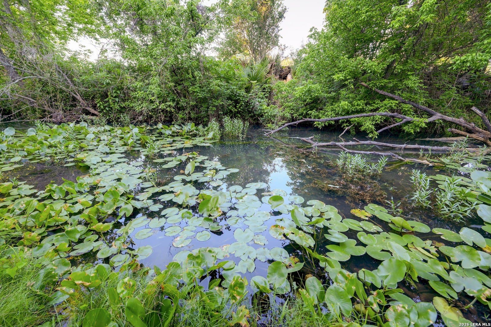 1.1 acres in Comal County - photo 38