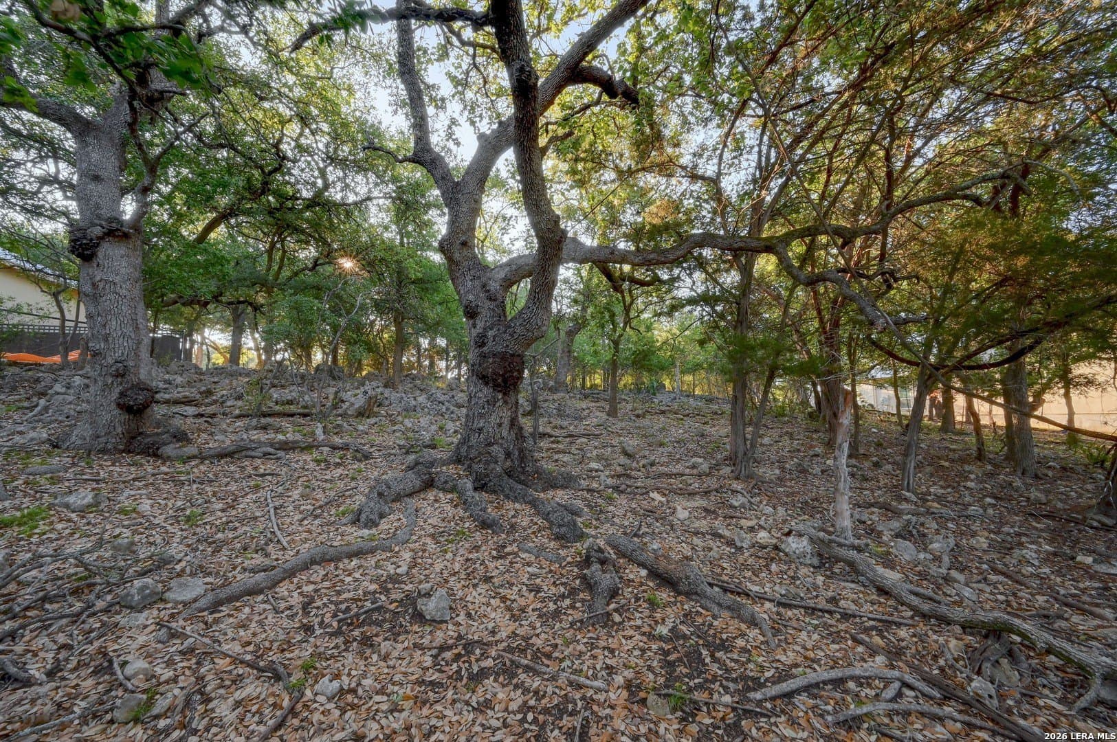 1.1 acres in Comal County - photo 47