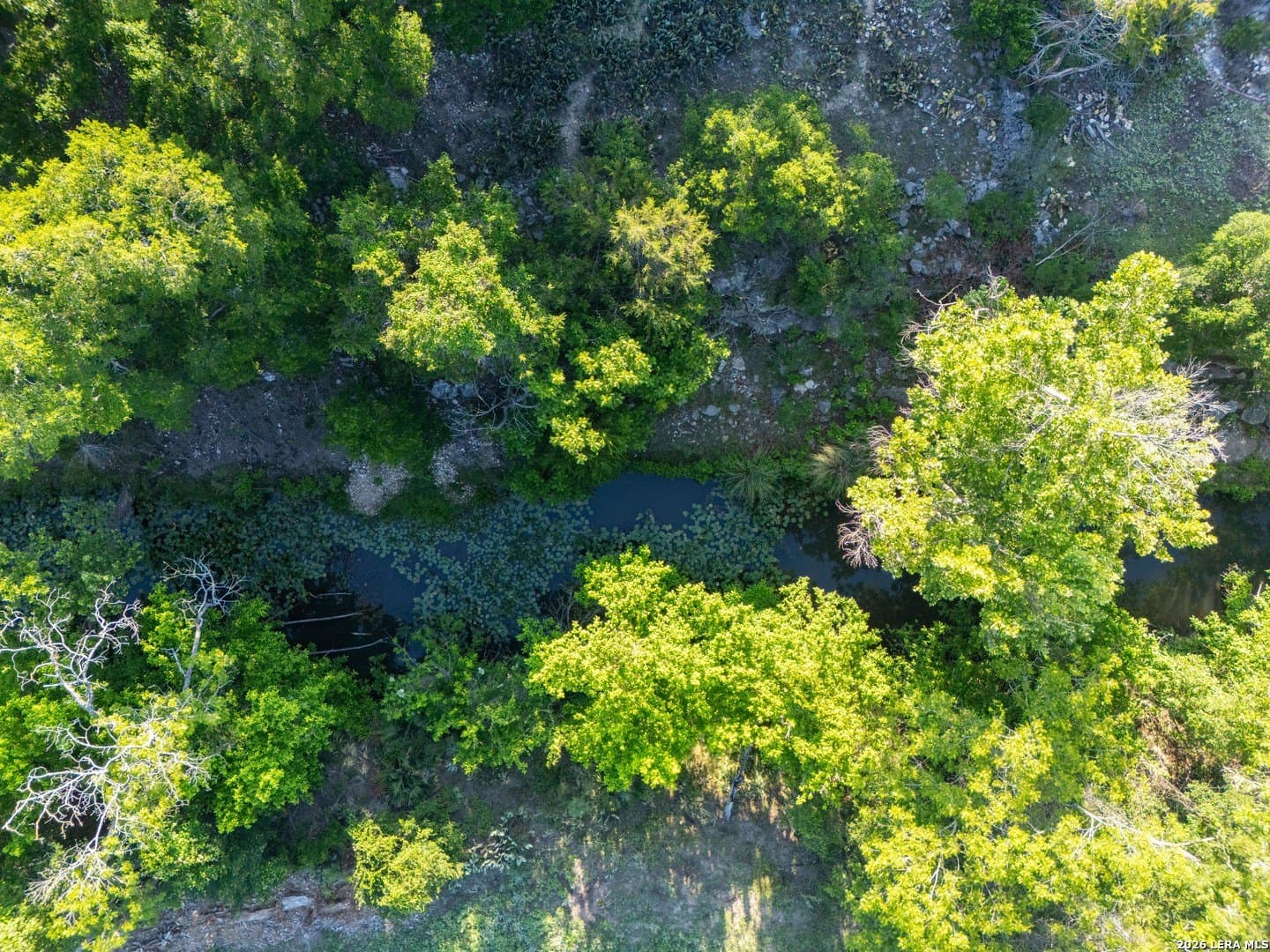 1.1 acres in Comal County - photo 18