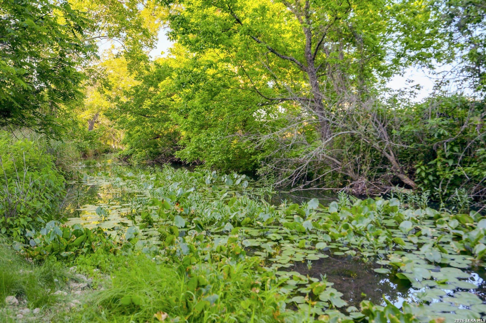 1.1 acres in Comal County - photo 36
