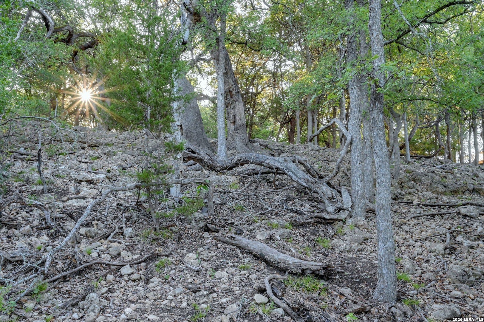 1.1 acres in Comal County - photo 46