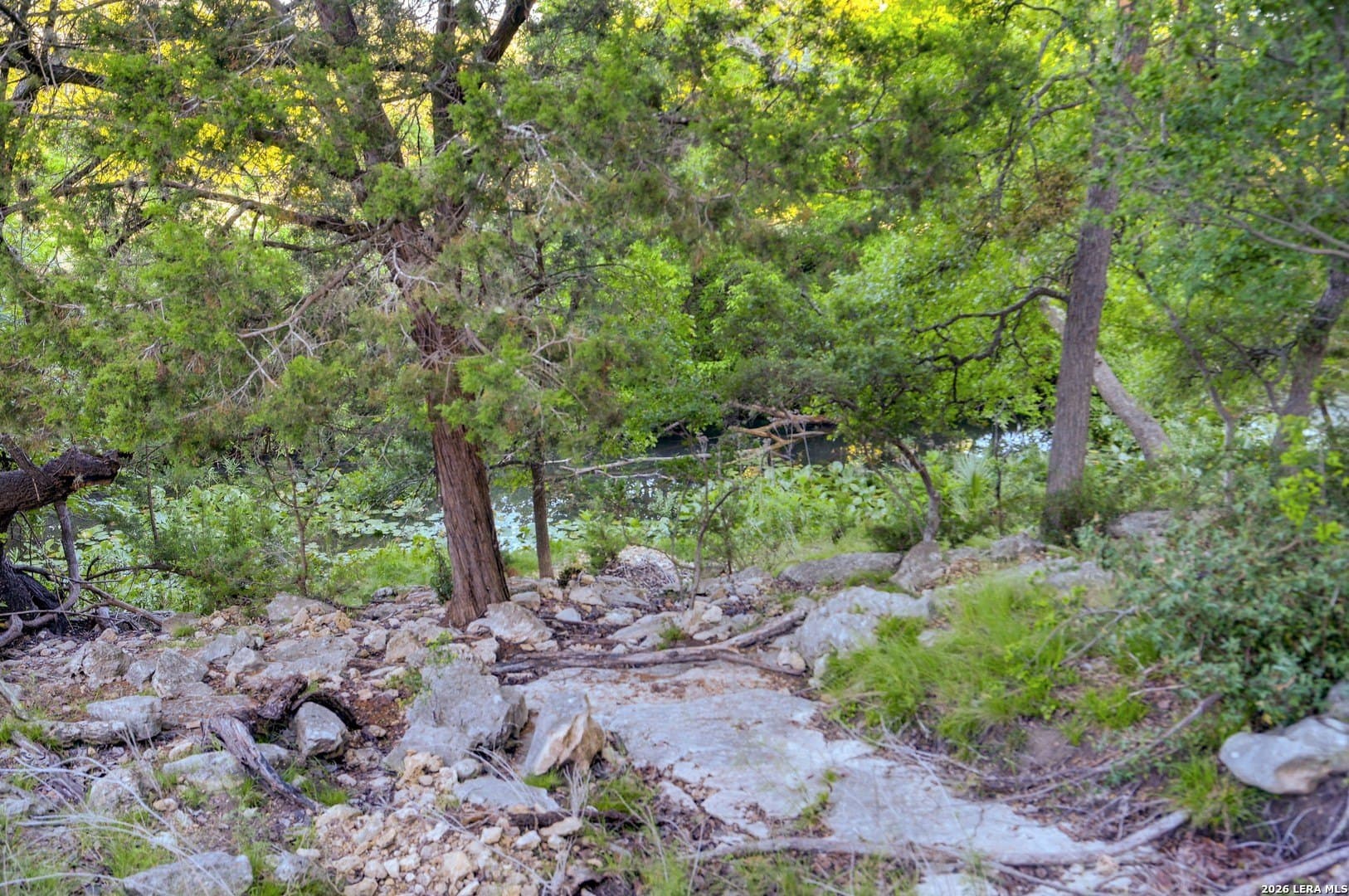 1.1 acres in Comal County - photo 31