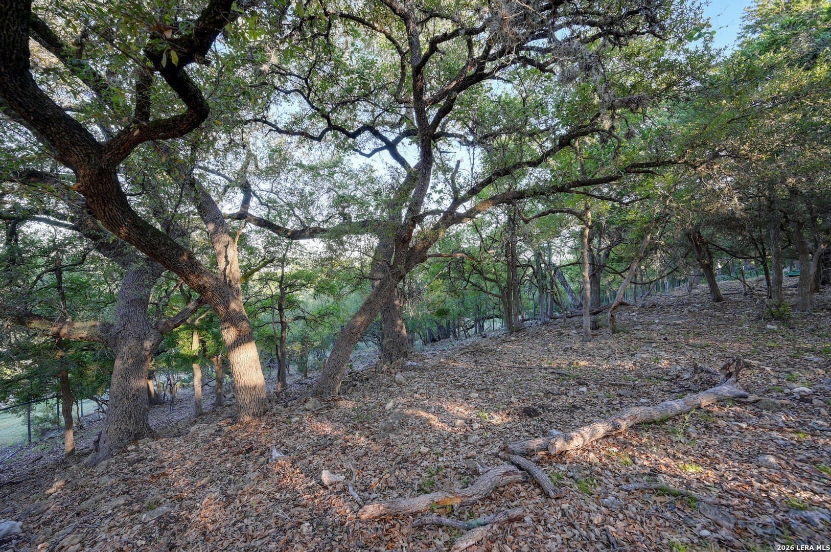1.1 acres in Comal County - photo 11
