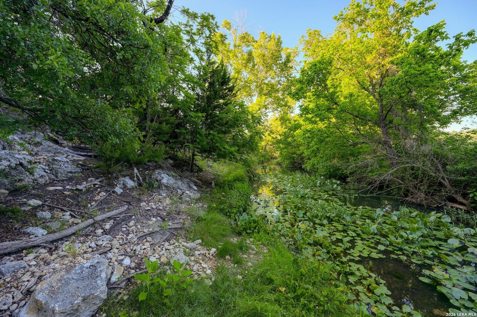 1.1 acres in Comal County - photo 39