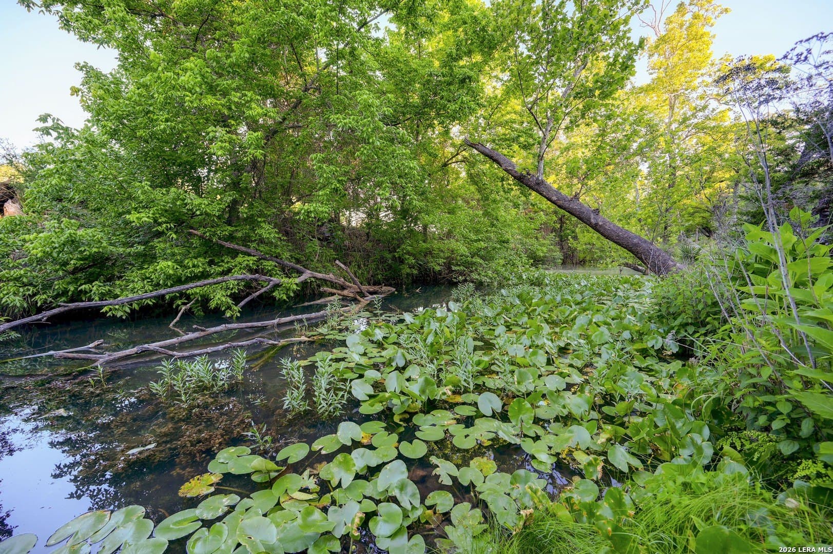 1.1 acres in Comal County - photo 12