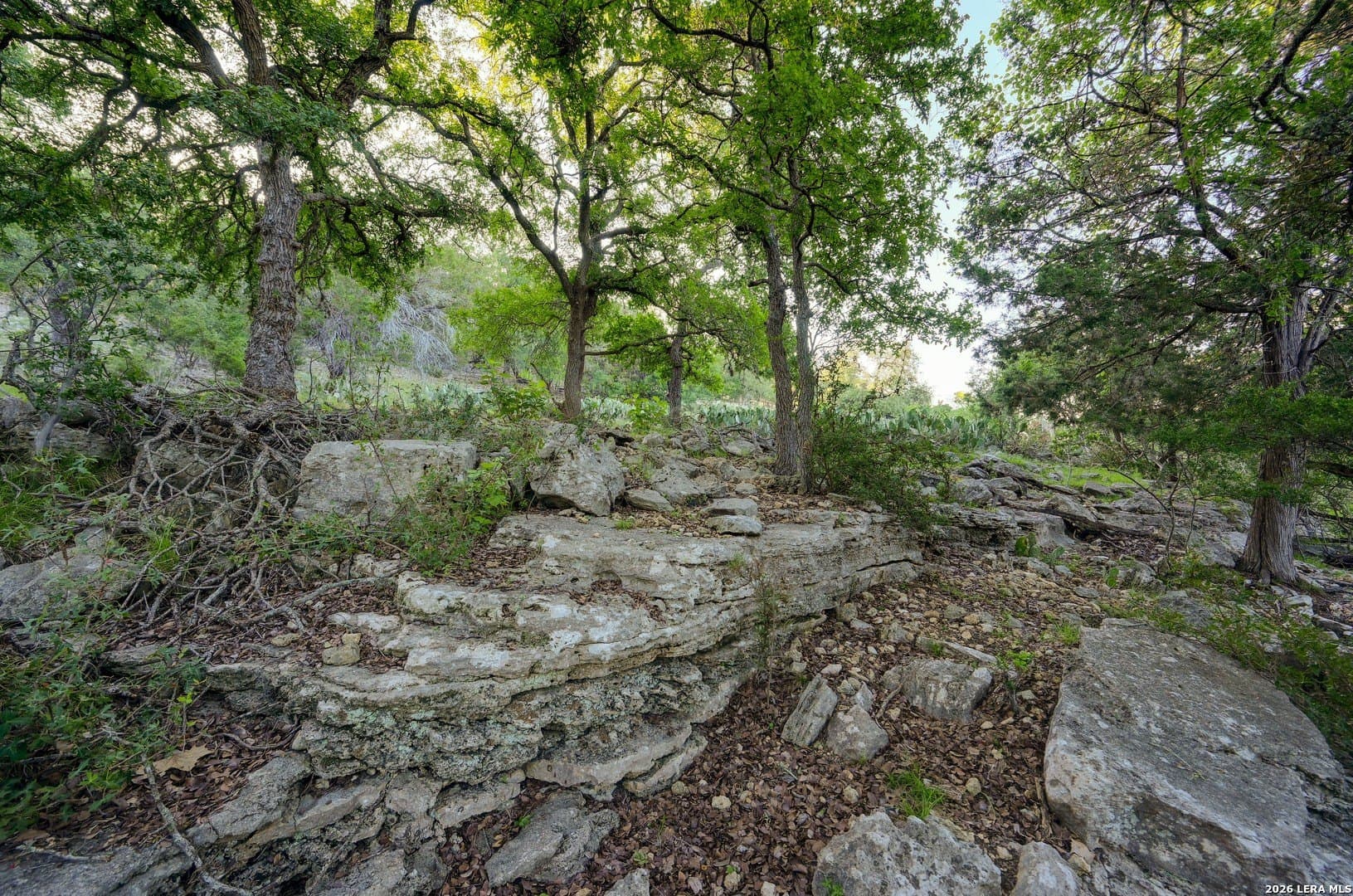 1.1 acres in Comal County - photo 42