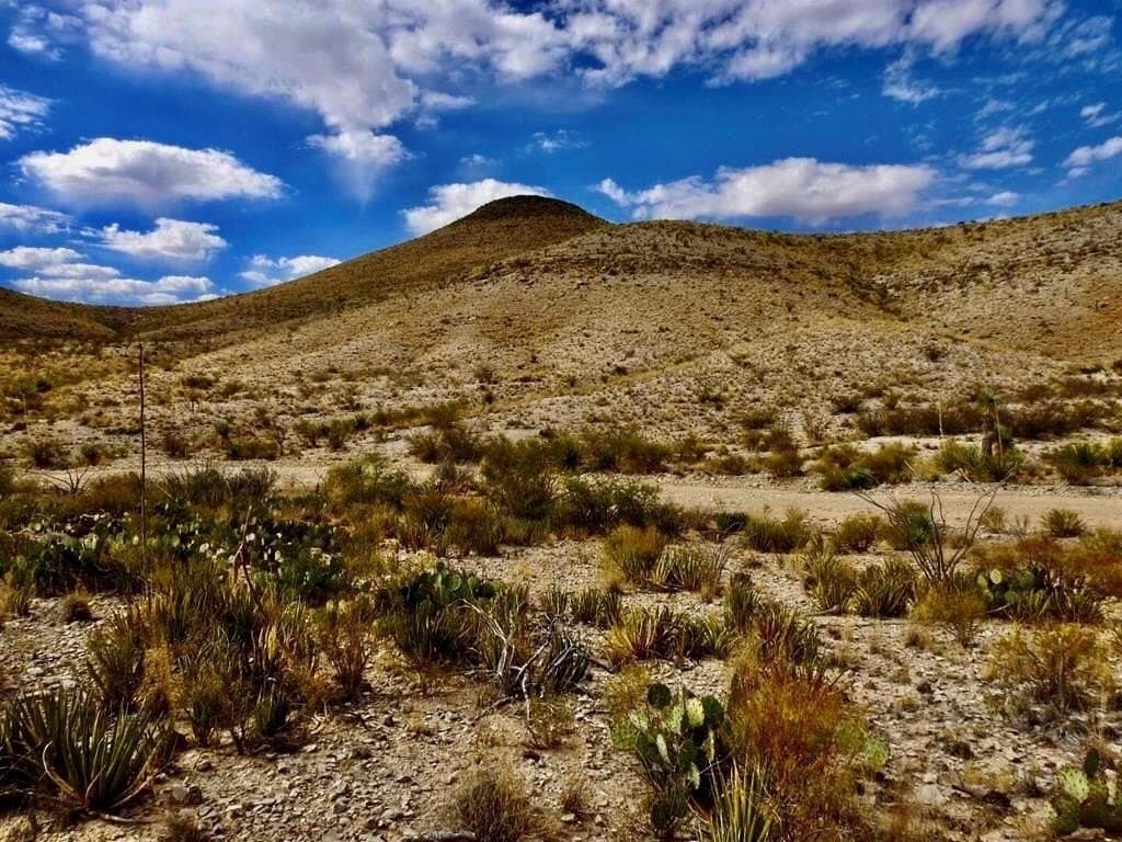 19.25 acres in Brewster County gallery image 2