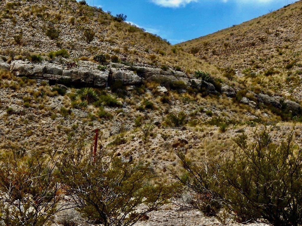 19.25 acres in Brewster County gallery image 3