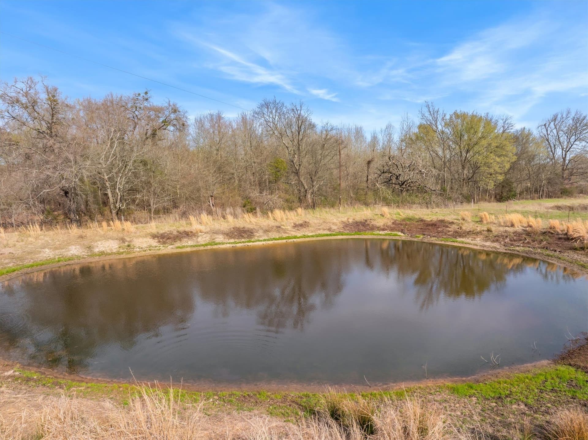 30.7 acres in Van Zandt County - photo 18