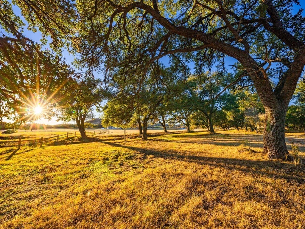 10.04 acres in Gillespie County featured view