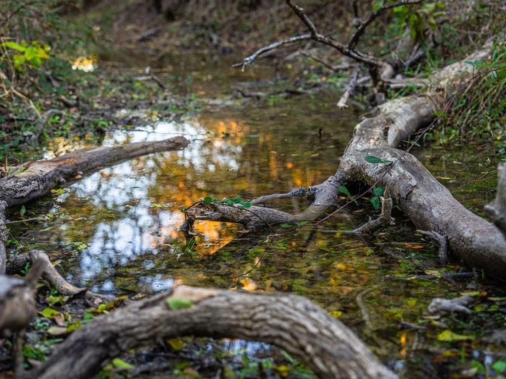 10.04 acres in Gillespie County