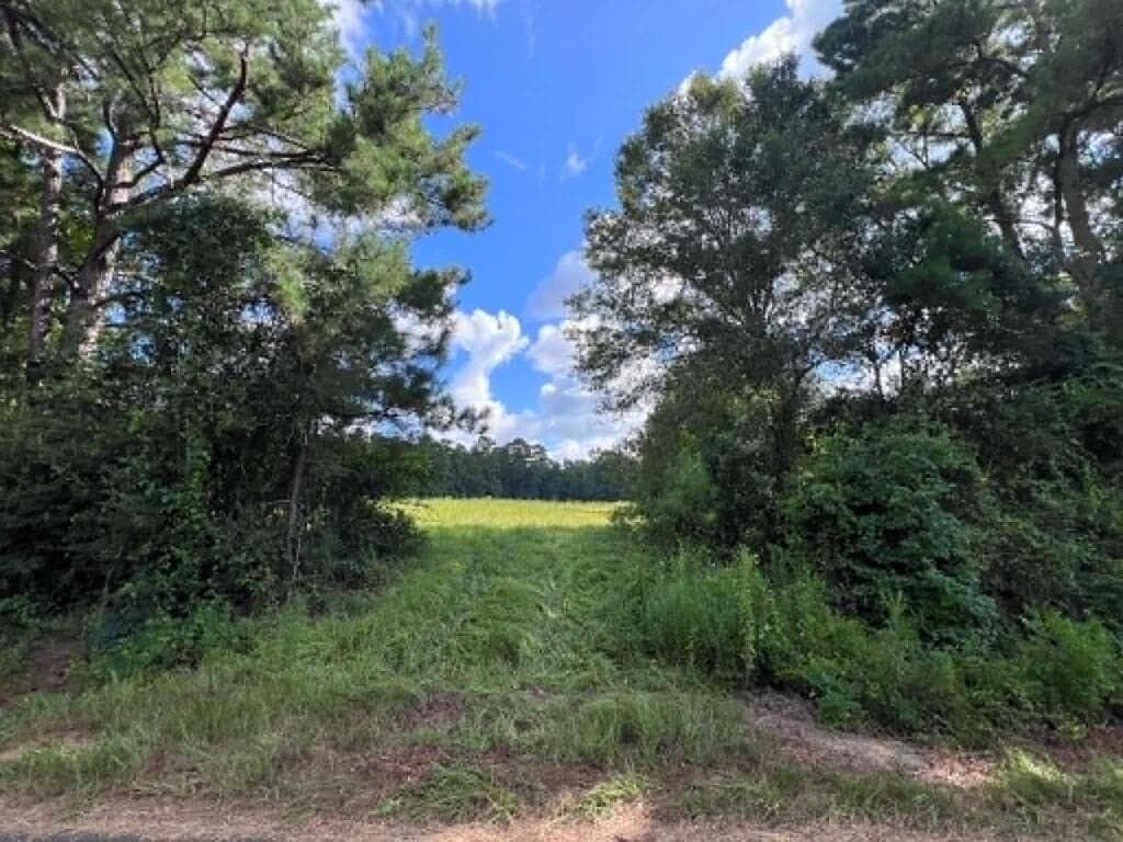 5.84 acres in Texas County
