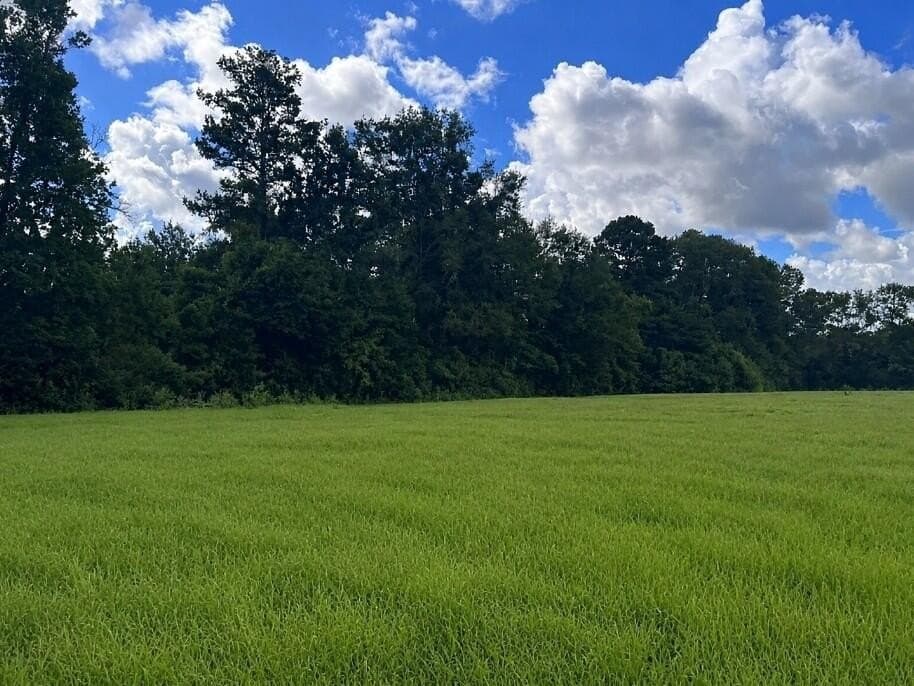 5.84 acres in Texas County - photo 6