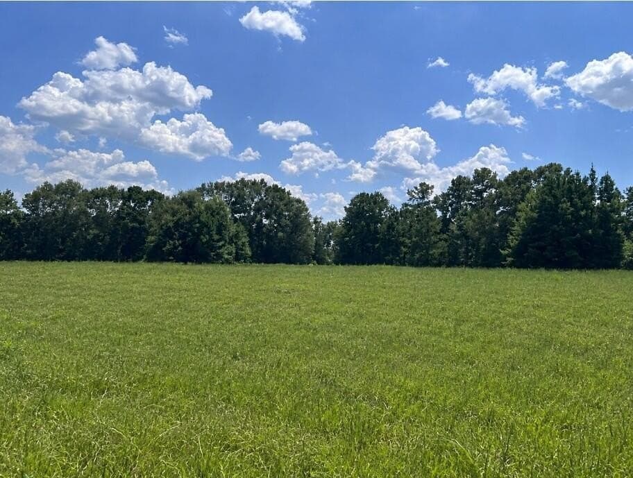 5.84 acres in Texas County - photo 3
