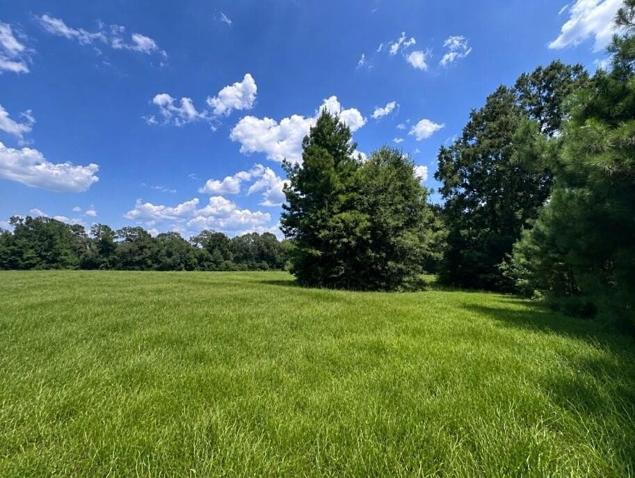5.84 acres in Texas County - photo 4