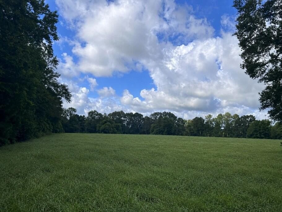 5.84 acres in Texas County - photo 5