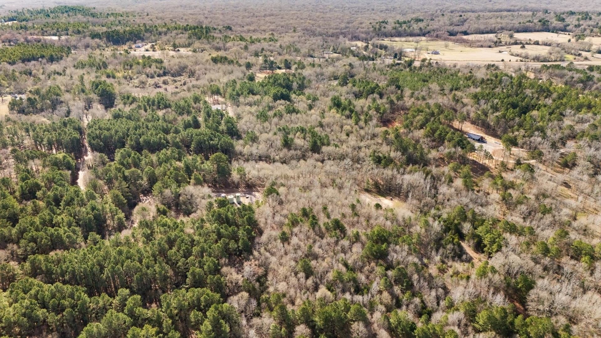 16.46 acres in Wood County - photo 3