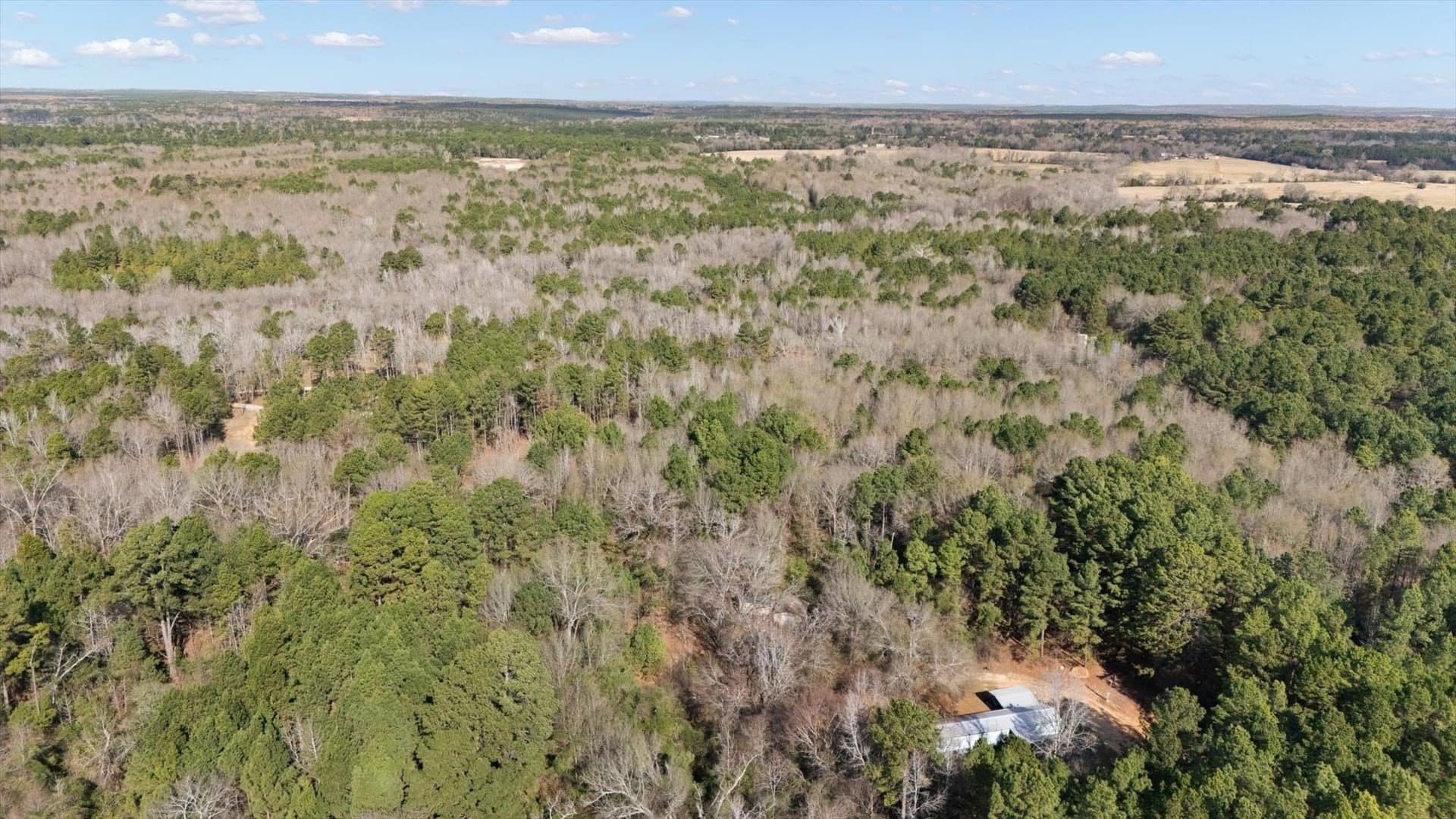 16.46 acres in Wood County - photo 2