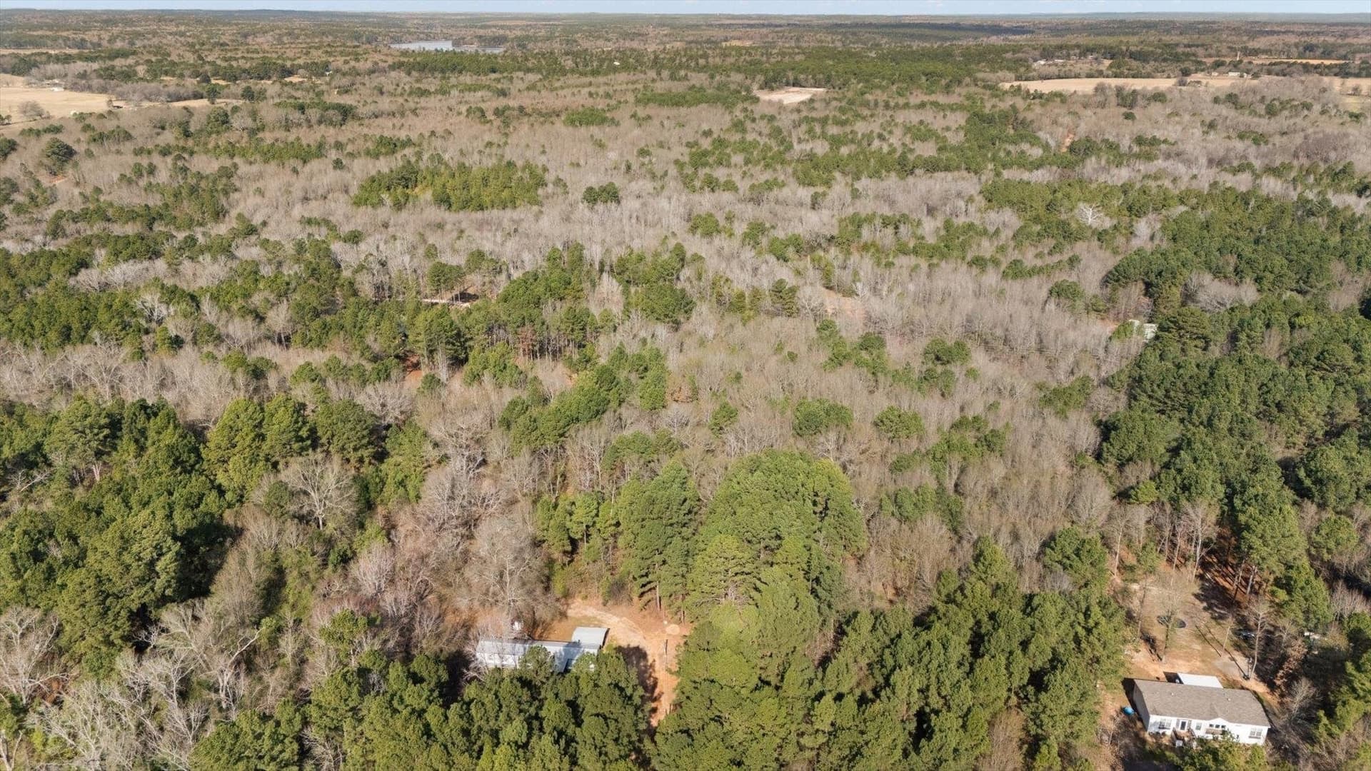 16.46 acres in Wood County - photo 5