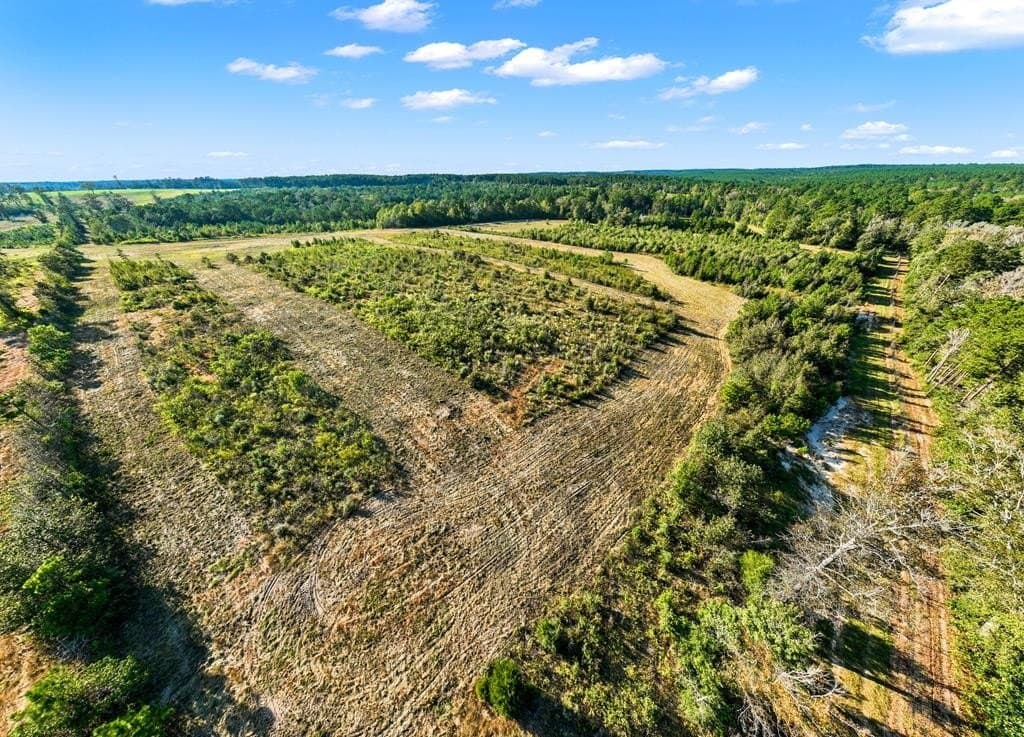 280 acres in Texas County - photo 60