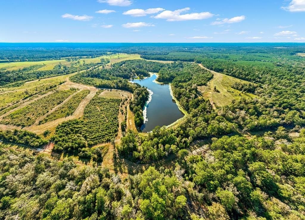 280 acres in Texas County - photo 55