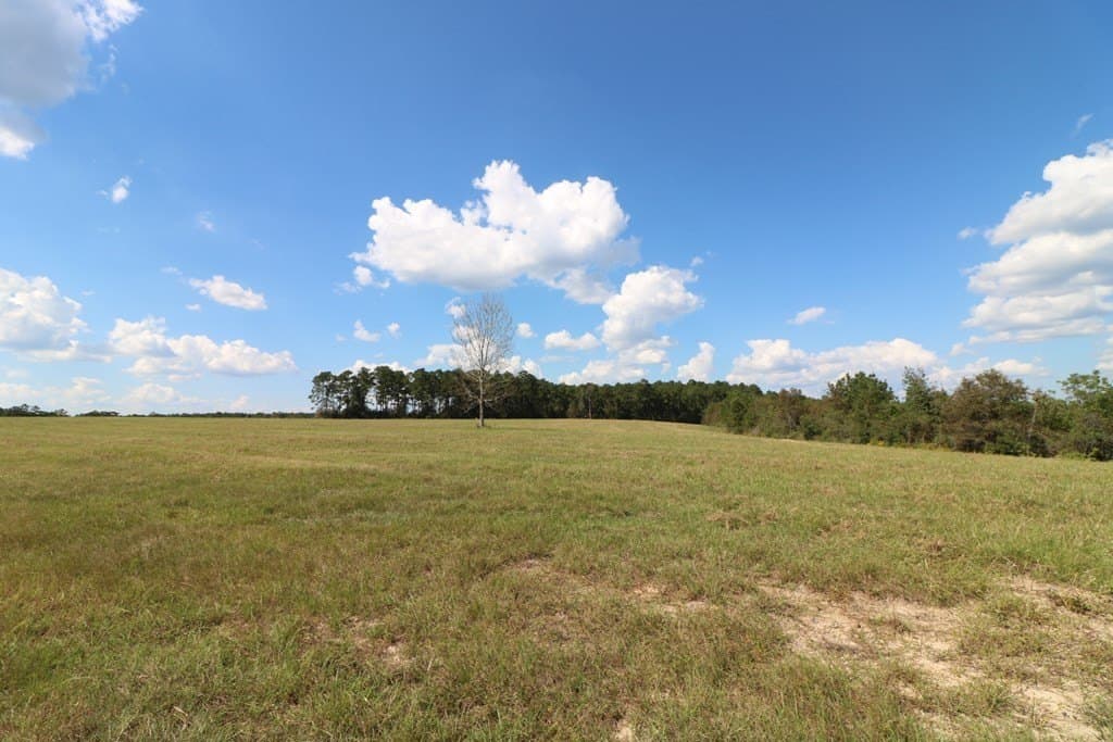 280 acres in Texas County - photo 18