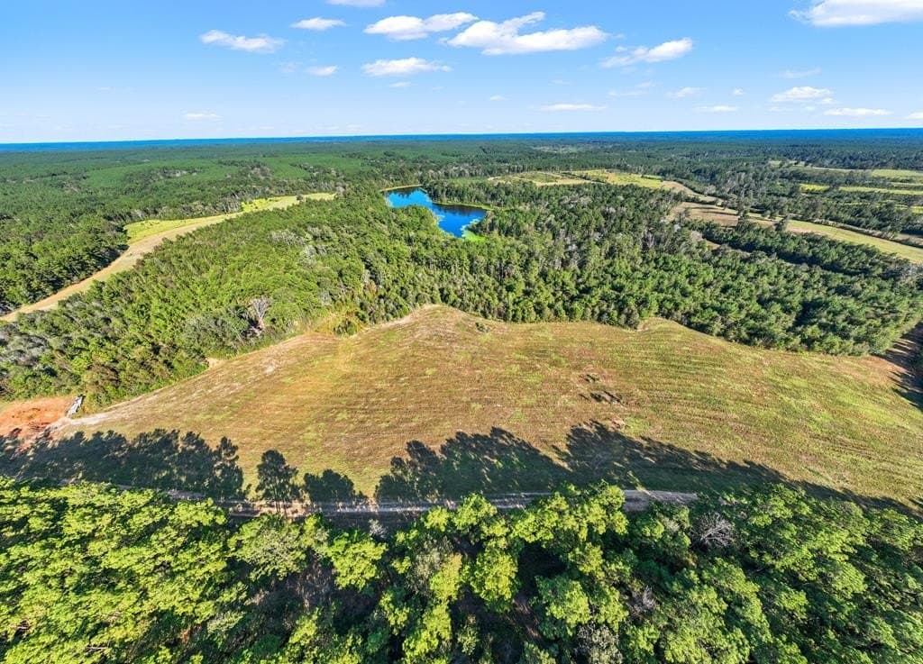 280 acres in Texas County - photo 43