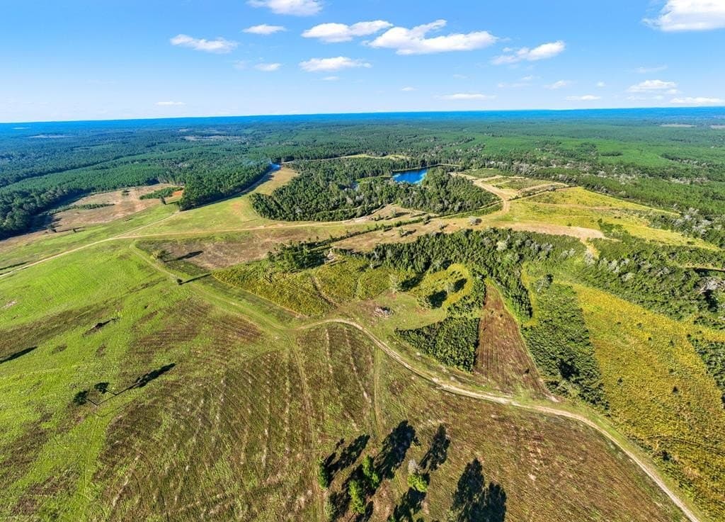 280 acres in Texas County - photo 53