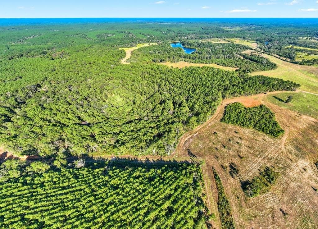 280 acres in Texas County - photo 59