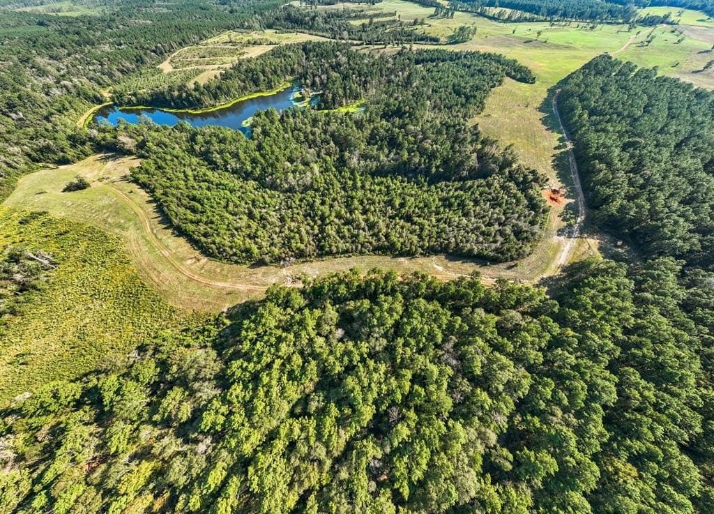 280 acres in Texas County - photo 45