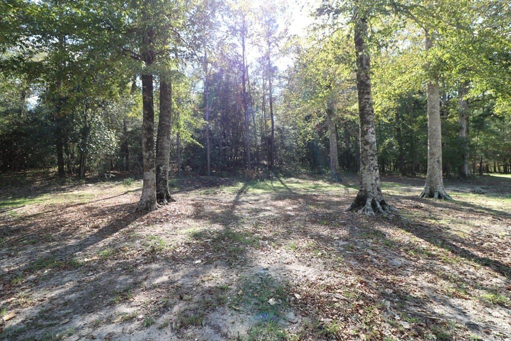 280 acres in Texas County - photo 21