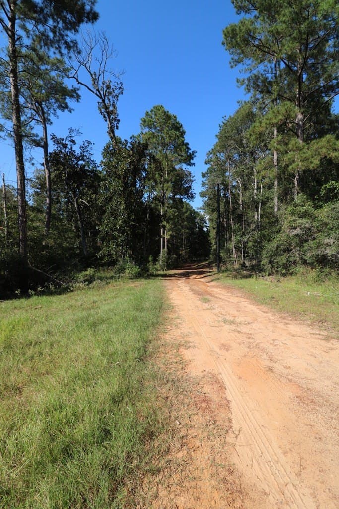 280 acres in Texas County - photo 24