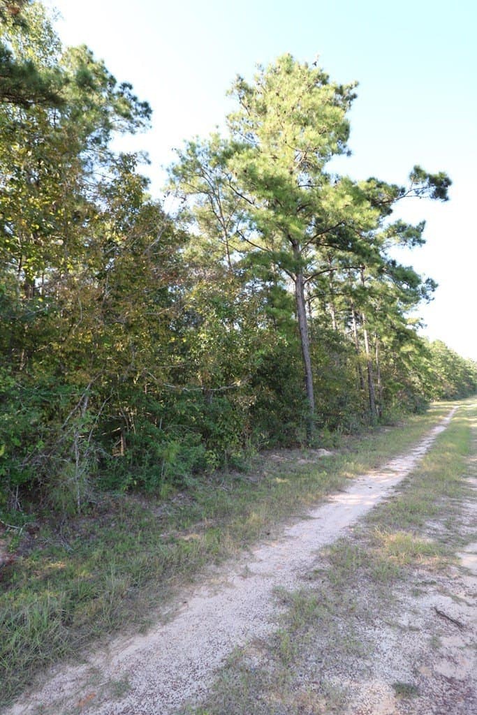 280 acres in Texas County - photo 30