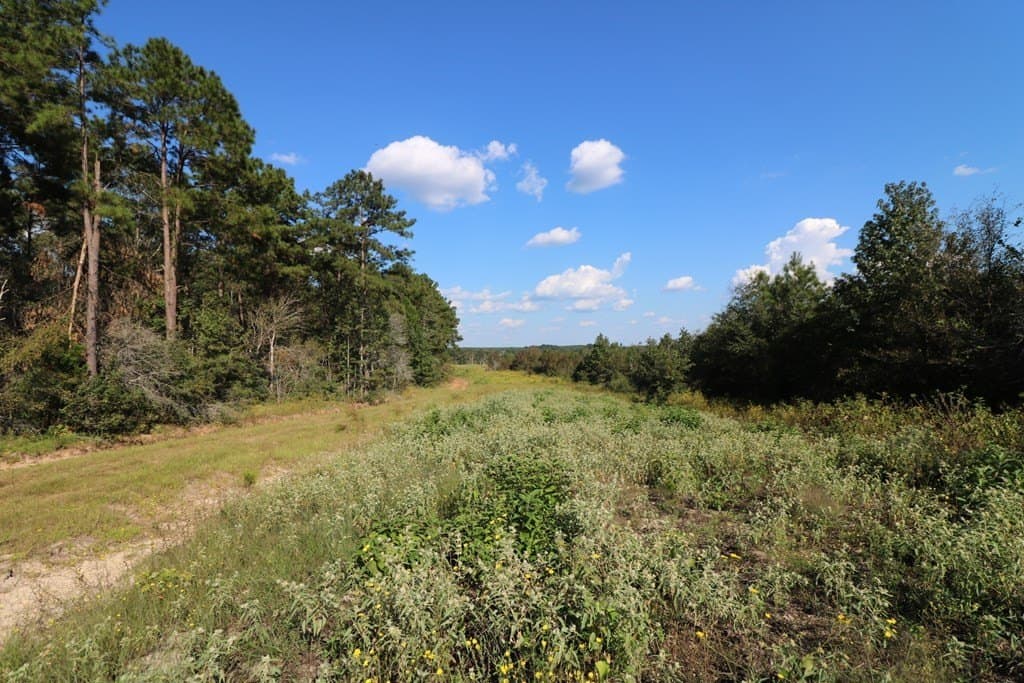 280 acres in Texas County - photo 35
