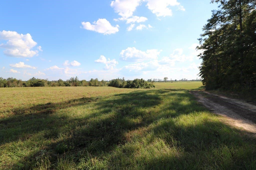 280 acres in Texas County - photo 25