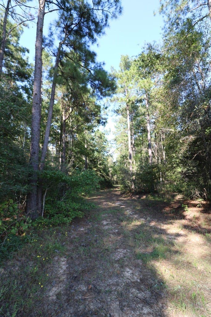 280 acres in Texas County - photo 31