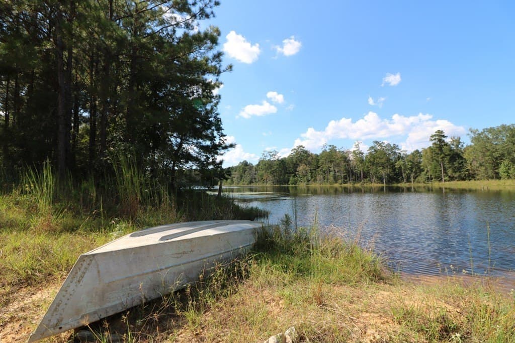 280 acres in Texas County - photo 19