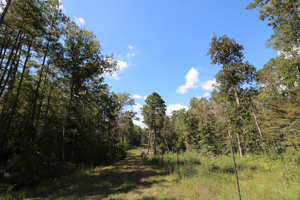 280 acres in Texas County - photo 33