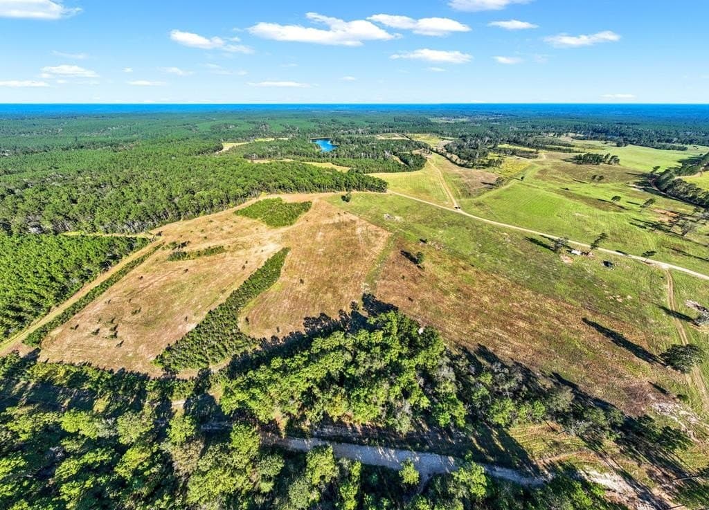 280 acres in Texas County - photo 42